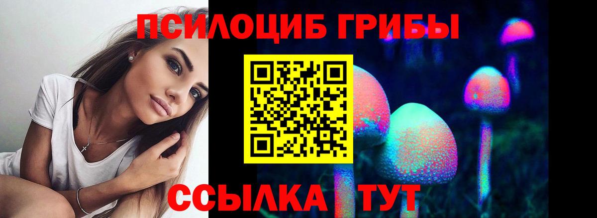 Псилоцибиновые грибы Cubensis Гусев